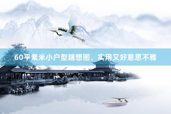 60平素米小户型瞎想图，实用又好意思不雅
