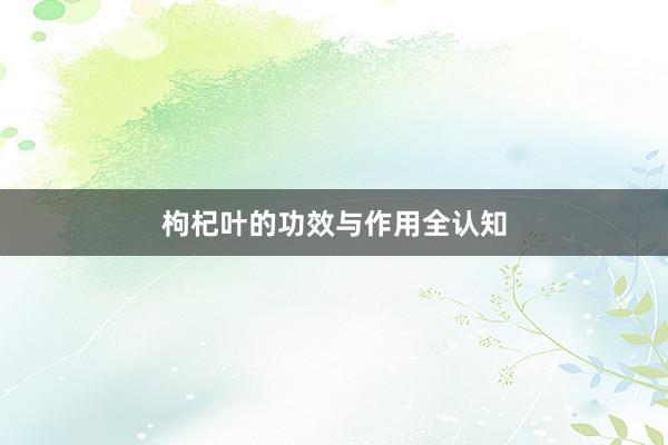 枸杞叶的功效与作用全认知