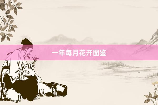 一年每月花开图鉴