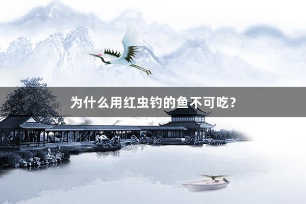 为什么用红虫钓的鱼不可吃？